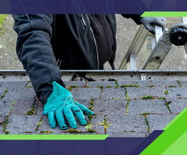 Cleaning Your Roof; Why, When & How?