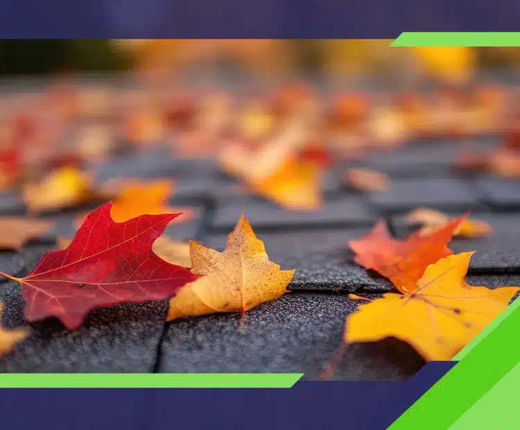 Grateful for a Good Roof: Your Homeowner Checklist Before Thanksgiving Johnson Roofing Solutions Northwest Florida