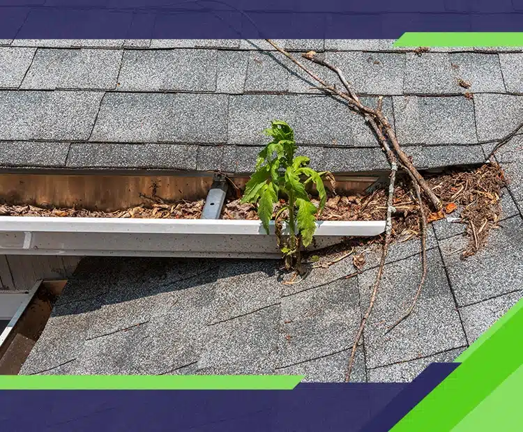 Love Your Home: 5 Roofing Repairs That Prevent Expensive Damage