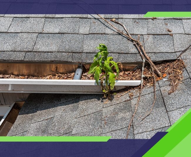 5 Roofing Repairs That Prevent Expensive Damage from Johnson Roofing Solutions in Northwest Florida