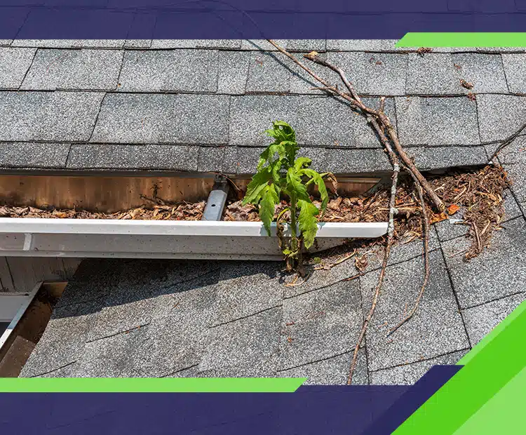 5 Roofing Repairs That Prevent Expensive Damage from Johnson Roofing Solutions in Northwest Florida