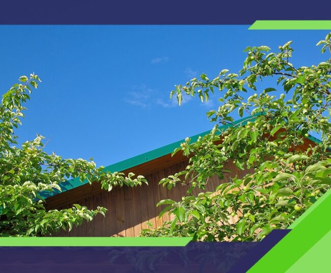 Spring Roof Maintenance Checklist for Florida Panhandle Homeowners by Johnson Roofing Solutions in Northwest Florida